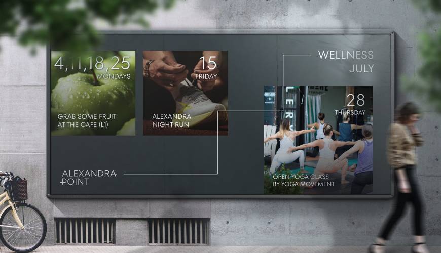 新河县画册设计公司如何进行品牌审核