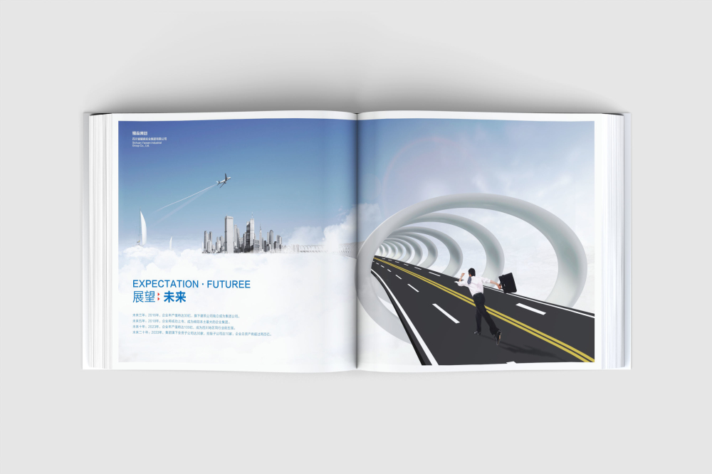 新河县画册设计